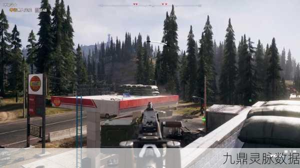 孤岛惊魂5雇佣兵召唤飞机全攻略