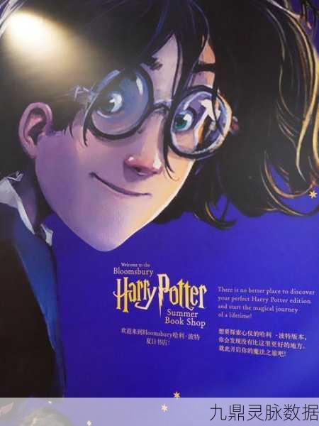 哈利波特蓝色宝石，解锁魔法世界的秘密钥匙