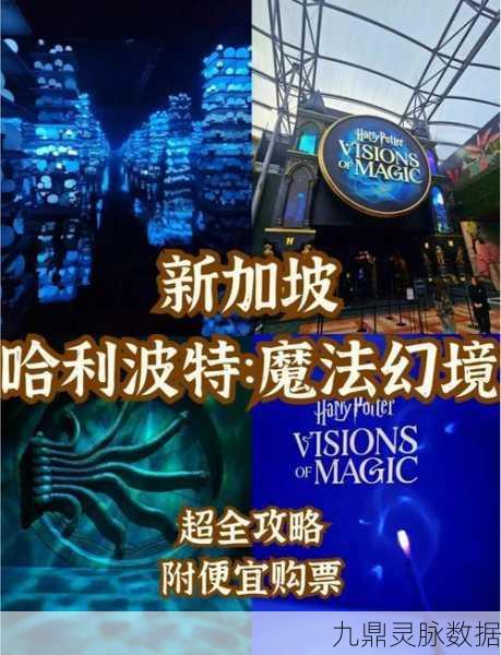 哈利波特蓝色宝石,解锁魔法世界的秘密钥匙
