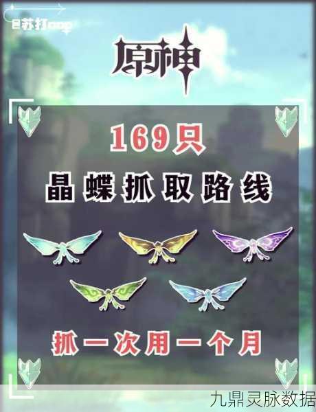 原神晶蝶诱捕秘籍，精通捕捉技巧，开启探险新篇章