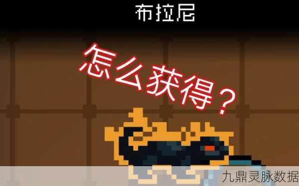 元气骑士布拉尼,解锁食物喜好与喂养秘籍