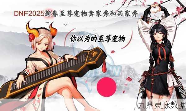 DNF宠物胶囊购买全攻略,解锁你的宠物新伙伴
