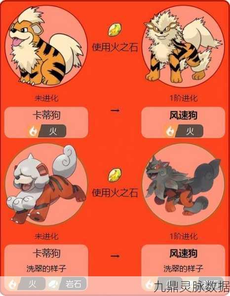 宝可梦剑盾，卡蒂狗的进化之旅——风速狗的解锁秘籍