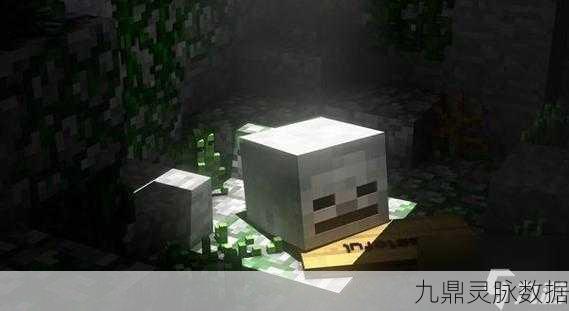 我的世界冰霜行者，解锁神秘行者的奇幻之旅