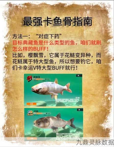 欢乐钓鱼大师，精准刺鱼技巧与稀有刺鱼心得揭秘