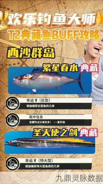 欢乐钓鱼大师,精准刺鱼技巧与稀有刺鱼心得揭秘