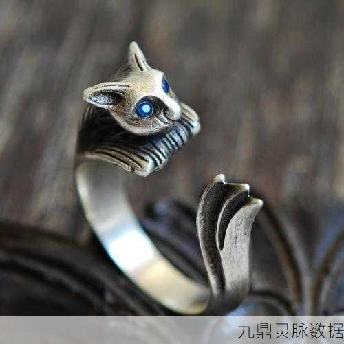 黑暗之魂3深度探索，套装收集、重进游戏与银猫戒指技巧大揭秘