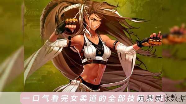DNF男柔道与女柔道,技能风格与战斗体验的深度探索