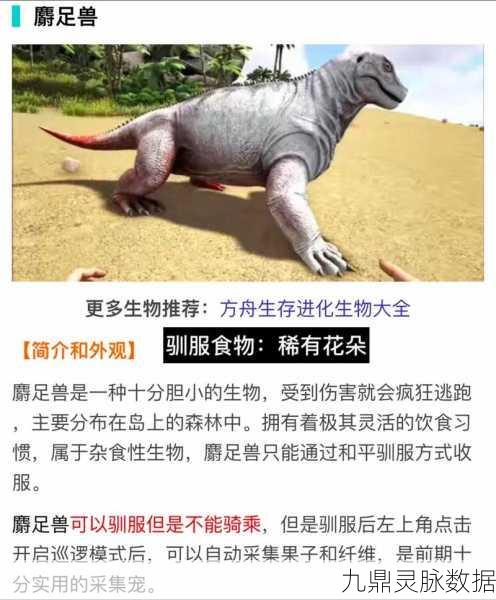 方舟生存进化,揭秘霸王龙饲料与驯服恐龙的秘籍