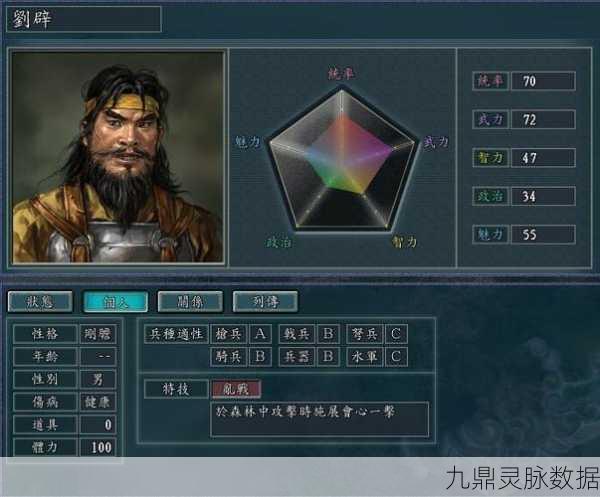 三国志13深度解析,曹洪武将的全面介绍与玩法探索