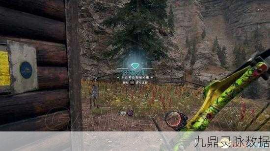 孤岛惊魂5不速之客储物箱全攻略,解锁隐藏宝藏的冒险之旅