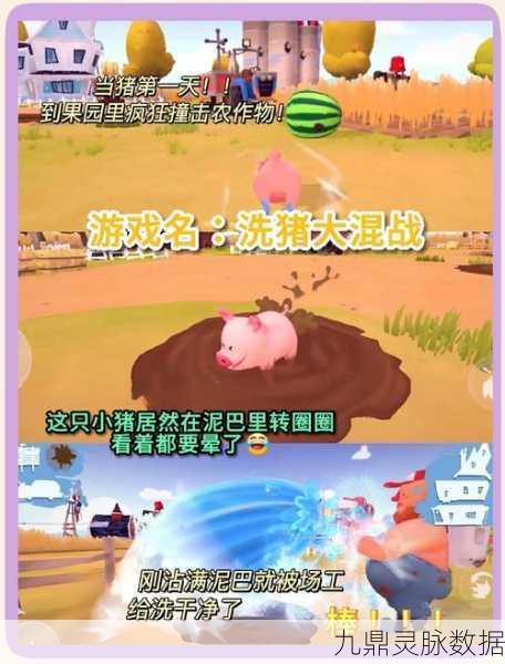 捣蛋鹅2024,轻松解压的休闲新宠,欢乐无限!