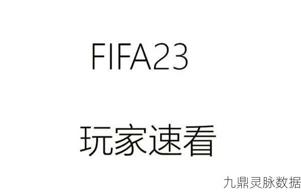 FIFA23卡顿掉帧?这些妙招助你畅享绿茵场!