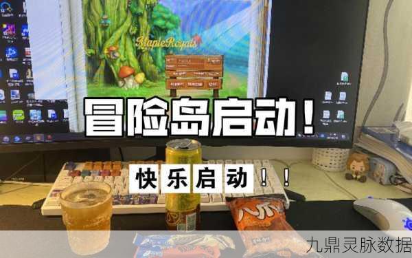 探索未知，智闯智慧岛，一场心跳加速的生存冒险之旅