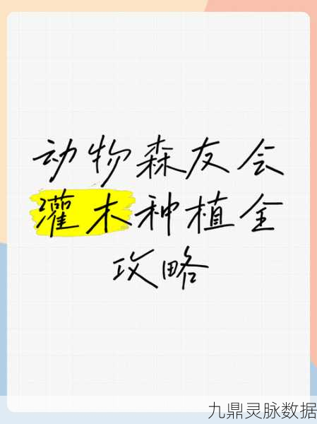 动物森友会园艺店深度探索与灌木种植秘籍