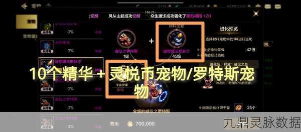 DNF宠物装备封装全揭秘，让你的萌宠战力飙升！