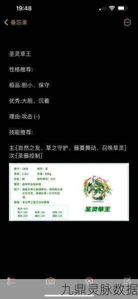 洛克王国新年祈福盛典，精灵王选择全攻略