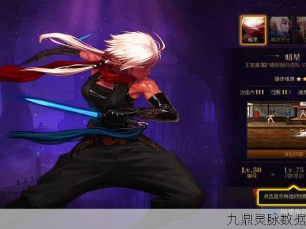 暗夜使者全面揭秘,DNF四大转职与核心技能加点策略
