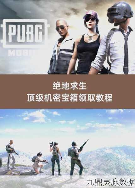 绝地求生登陆难关?解锁卡在登陆页面的秘籍!