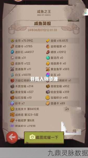 咸鱼之王深度剖析，210-5关卡制胜秘籍与策略盛宴