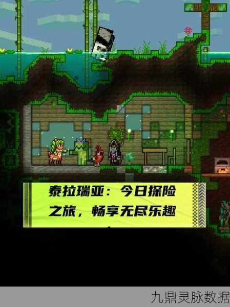 泰拉瑞亚精灵瓶，解锁神秘之瓶的奇幻探险之旅
