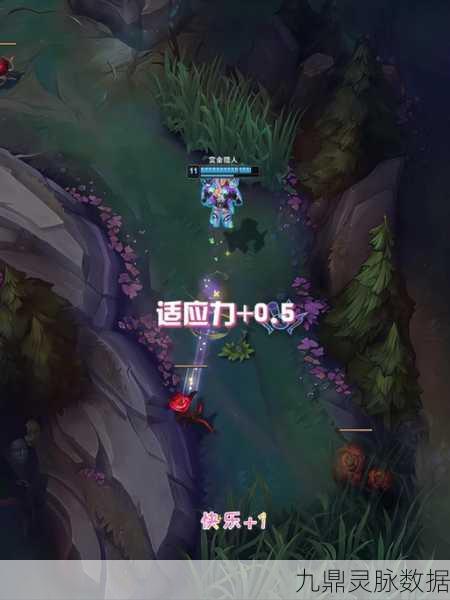 LOL中的适应之力,解锁英雄潜能的钥匙