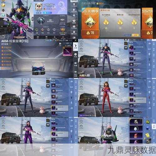 和平精英异形屏UI,优化体验,畅享游戏