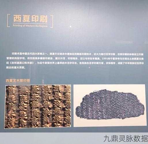 探秘无明砦，解锁古老文明尘封的秘密