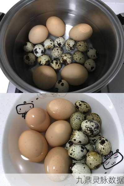 魔兽世界,解锁萝卜炖肉烹饪秘籍