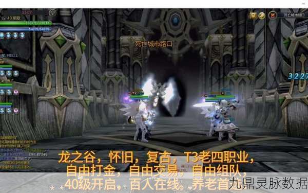 龙之谷，探寻输出之巅，揭秘最强职业