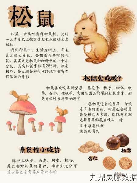 动物餐厅松鼠来访秘籍，解锁条件全揭秘