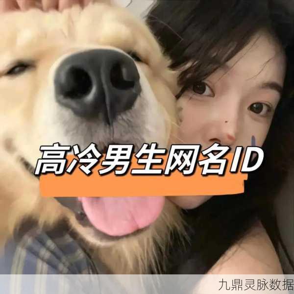 王者荣耀，探寻那些霸气侧漏、令人着迷的男性网名背后