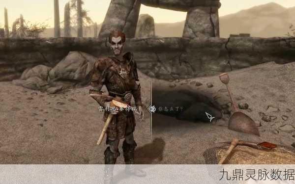 上古卷轴5拉里斯位置揭秘,踏上寻找强力随从的征途