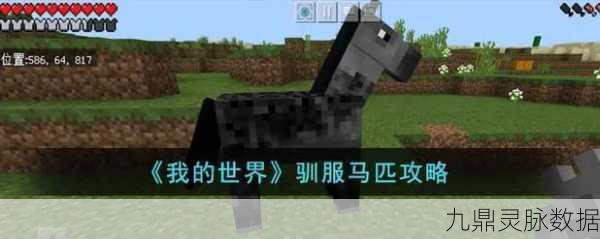 我的世界手游驯服马匹全攻略，打造你的专属坐骑