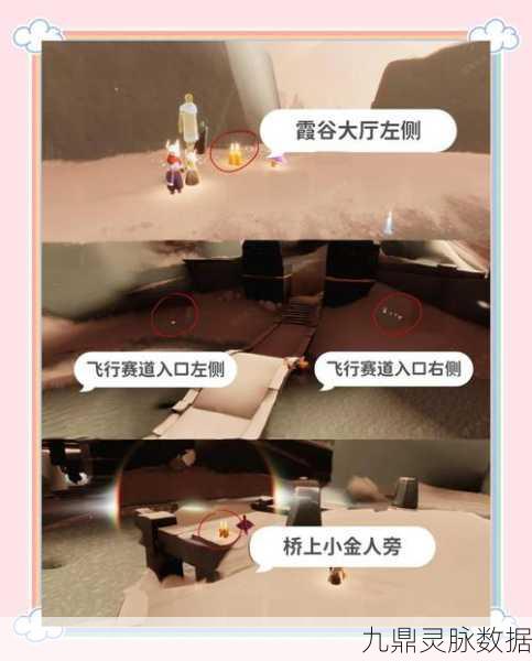 光遇雨林红石任务全揭秘,位置、技巧与完成攻略