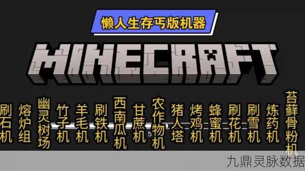 打造智慧工坊，我的世界基岩版分类机深度揭秘