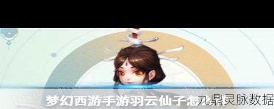 梦幻西游网页版新纪元,羽云仙子的梦幻魅力探索