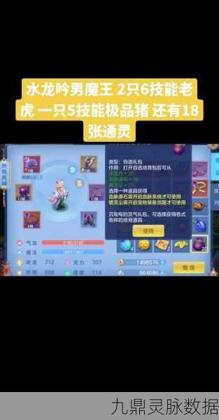 神武手游深度探索，大唐御魂技能奥秘与实战智慧全揭秘