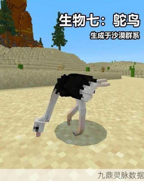 我的世界海豚驯服全攻略,解锁海底探险新伙伴