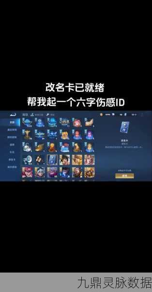 王者荣耀高端局ID探秘，独特标识下的玩家风采