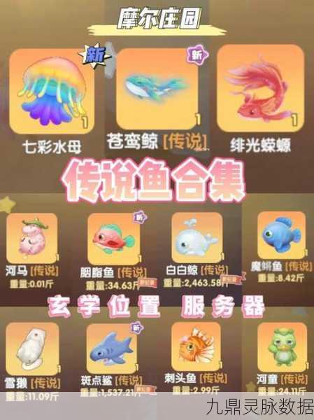 摩尔庄园手游钓鱼秘籍,钓鱼点位置与稀有鱼类全攻略