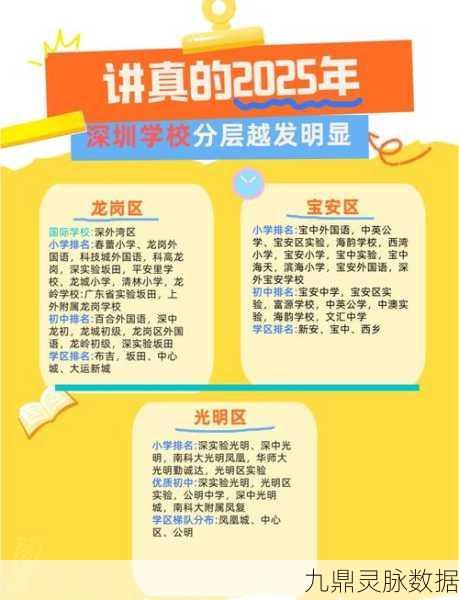 深圳A-Level学校排名大揭秘,玩家视角的择校攻略