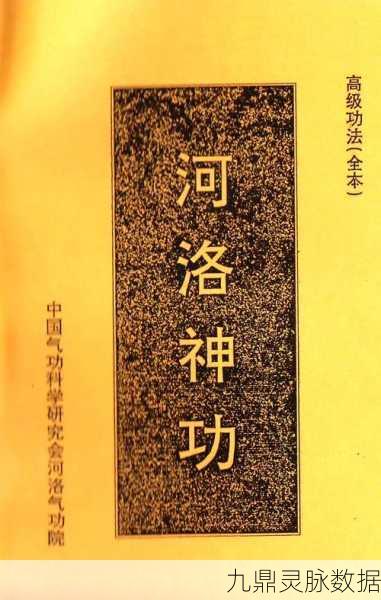 河洛群侠传,揭秘洗髓经快速获取秘籍