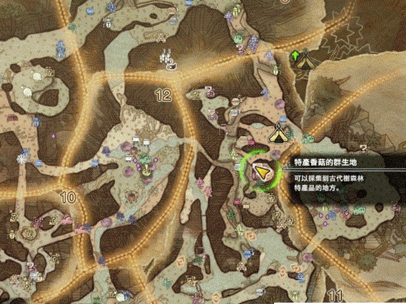 怪物猎人世界全新探险，古代树森林营地全攻略解锁
